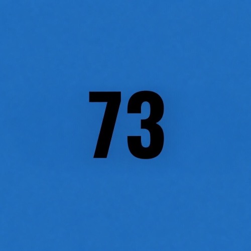 73Coin