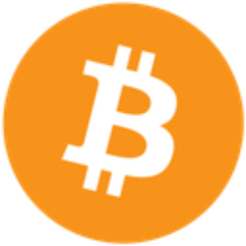 Bitcoin Network 