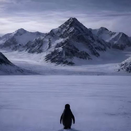 Penguin